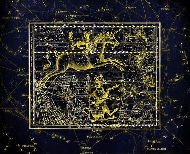 Astrolojik haritalarda evlerin anlamı ve etkisi nedir?